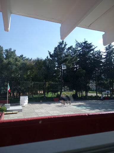 Escuela Secundaria Técnica N° 45 "Ignacio Manuel Altamirano" - Thumbnail