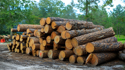 Lumber yard - Thumbnail
