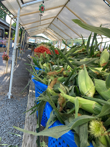 Ocean View Produce - Thumbnail