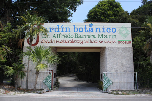 Jardín Botanico Dr. Alfredo Barrera Marín