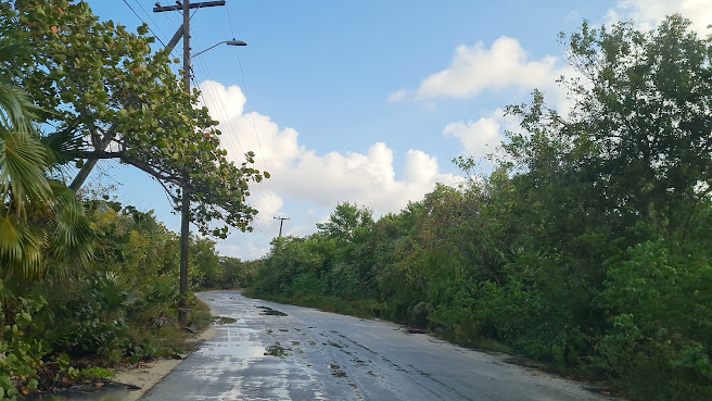 Little Cayman by null