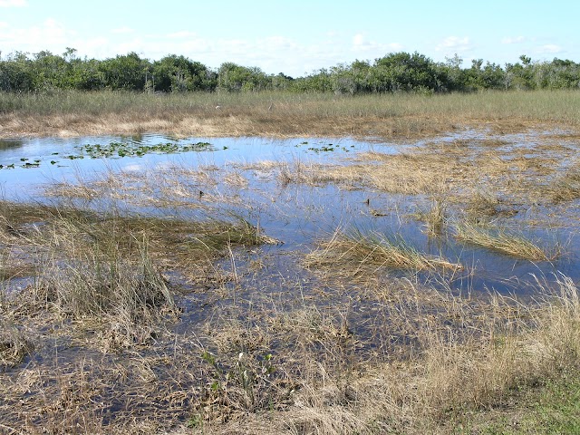 Shark Valley Visitors Center