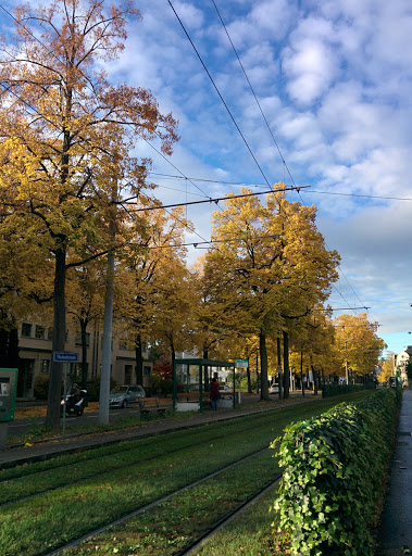 Bernerring - Thumbnail