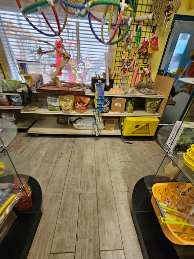 Parrot Cabana - Thumbnail