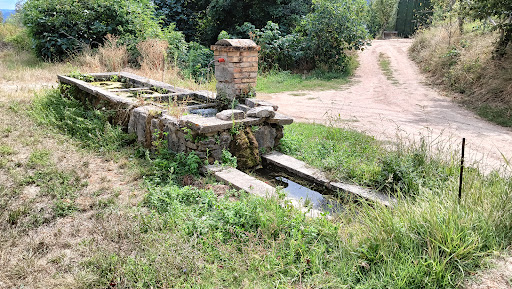 Fontanile - Visual