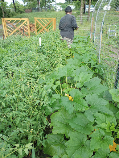 Jay's Orchards - Visual