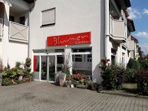 Blumen-Heidenau - Thumbnail
