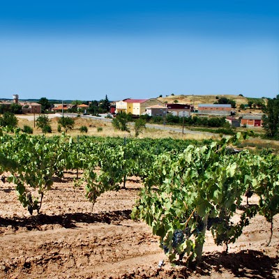 Photos of Bodega San Roque de la Encina