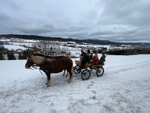 Kutschen- und Pferdeschlittenfahrten rund um Lam Gallery - Germany