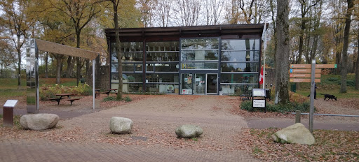 Parkeerplaats eendenvijver - Thumbnail
