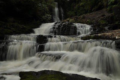 Photos of Catlins Forest Park