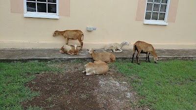 Photos of St. George's University