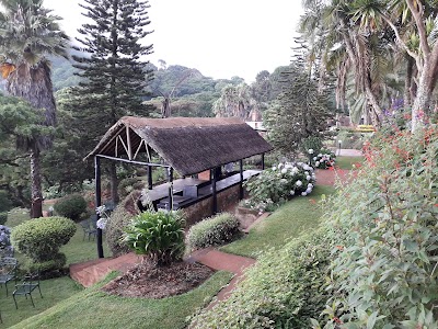 Photos of Sunbird Ku Chawe