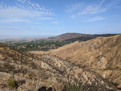 Bogart Park Ridge Trail
