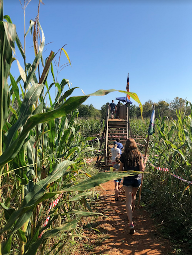 Blue Ridge Mountain Maze