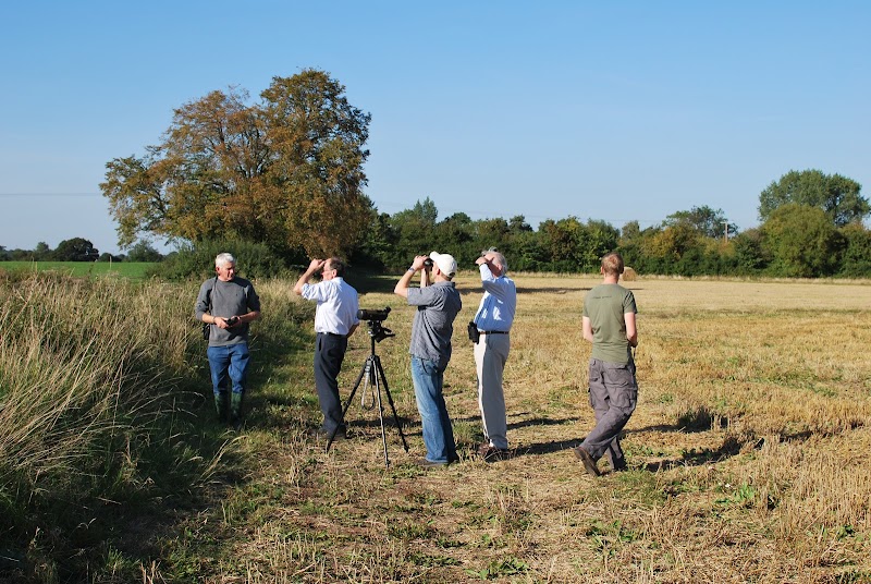 Wild Hollowfields photo 3