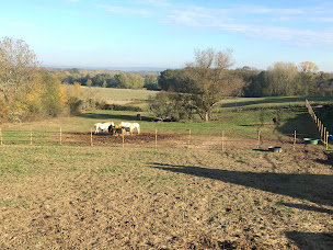 Photo n°11 de Haras de Vérone à Beauvernois (Pension pour chevaux)