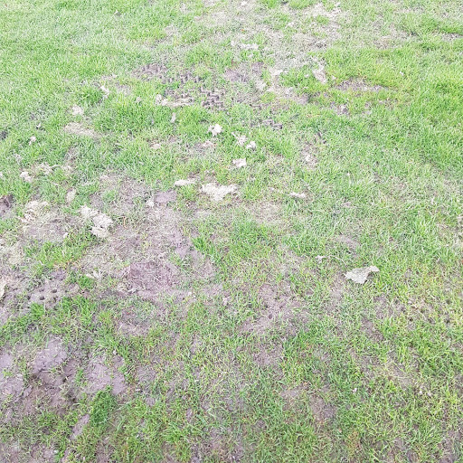 Garforth Golf Club - Thumbnail
