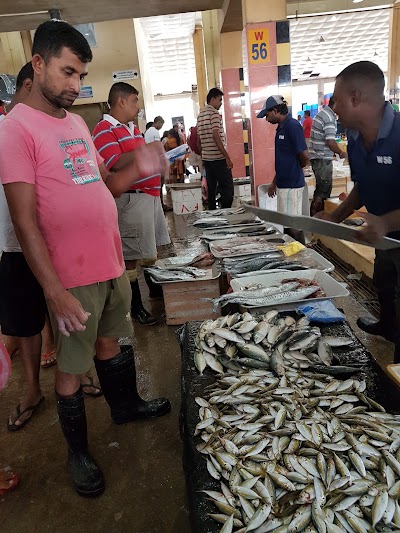Photos of McGolan sea foods