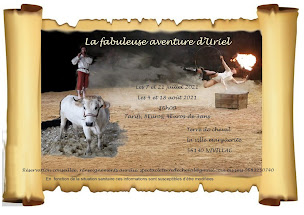 Photo n°13 de Aurélie maréchale et Podologue Equin à Nivillac (Podologue)