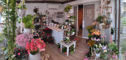 Floramente - Visual