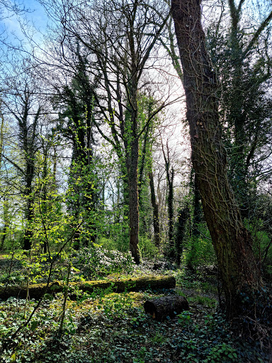 Brook Hollows