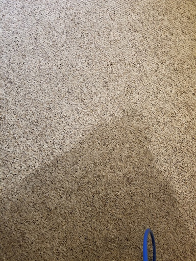 Crystal Bleu Clean