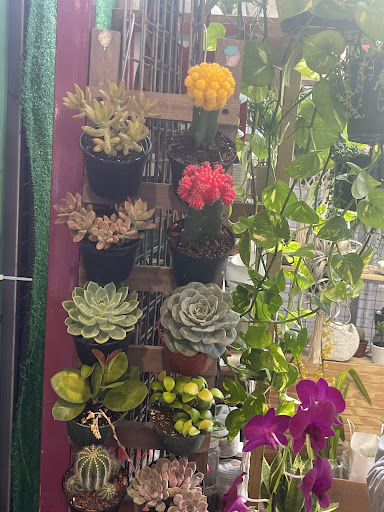 Food Place - Thumbnail
