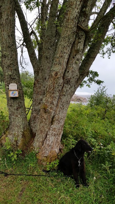 Photos of Knatvoldstranda Camping