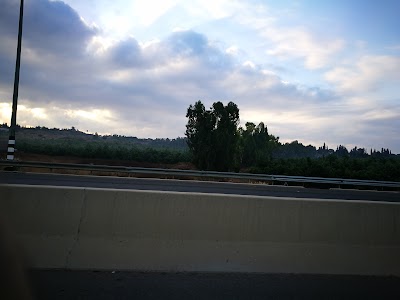 photo of אוויס כוכב יאיר