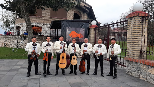 MARIACHI NUEVO INSTRUMENTAL DE ORIZABA