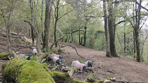 Photo n°8 de ferme aozteia à Bunus (Magasin de produits de la ferme)
