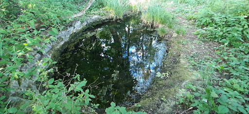 Diehlbrunnen - Visual