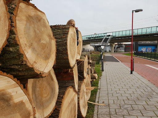 Zoetermeer, Van Tuyllpark - Thumbnail