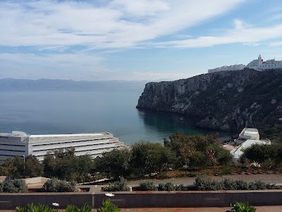 Photos of Flyboard center Al Hoce&iuml;ma Maroc