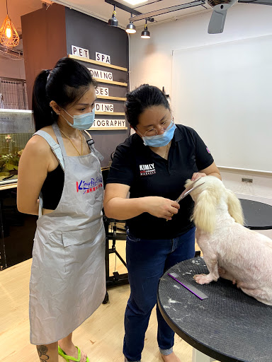Kimly Pet Studio