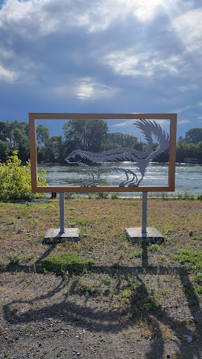 La moufette - Bestiaire de la Route touristique du Richelieu