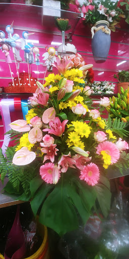 Floristería May - Thumbnail