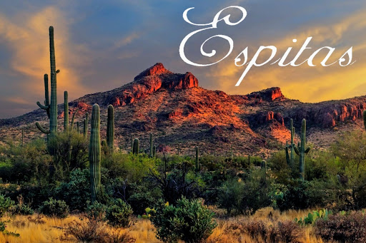 Espitas LLC