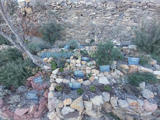 El Botànic - Thumbnail