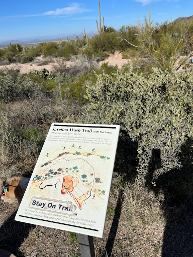 Cactus Garden Trail - Thumbnail
