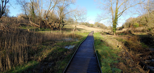 Peat Moors - Visual