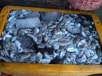 Photos of Jual Ikan Laut Rembang Bp. Samuri UD. Cahaya Mentari