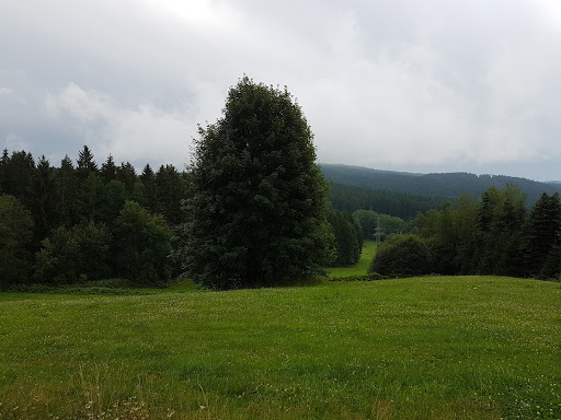 Auto Melch - Visual