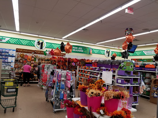 Dollar Tree - Visual