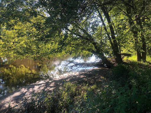 Fox River Water Trail System (CTH JB Access) - Thumbnail