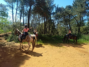 Photo n°13 de La Mini ferme du Ventoux des ecuries de Bacchus à Reilhanette (Promenade)
