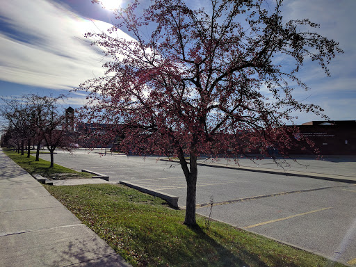 Father Bressani Catholic High School Gallery - Canada