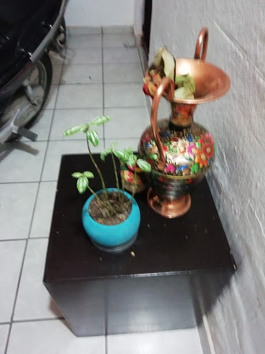 Florería Lucero