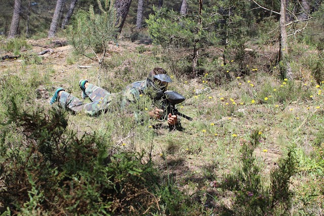 Pena Aventura-organização De Actividades Desportivas Lda